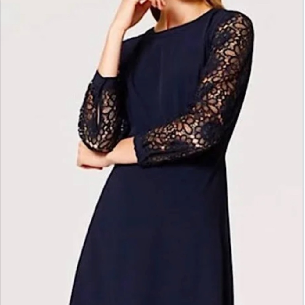 LOFT - navy lace sleeve dress - size 10P